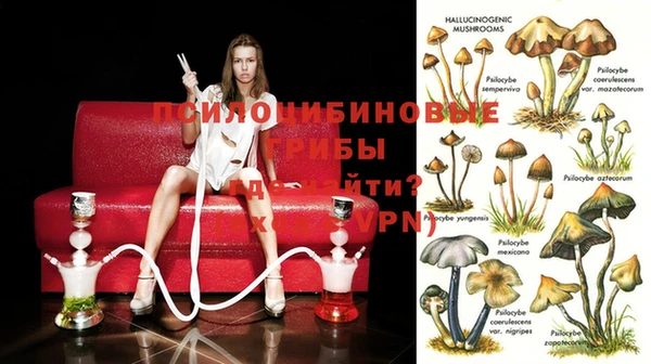 прущая мука Кукмор